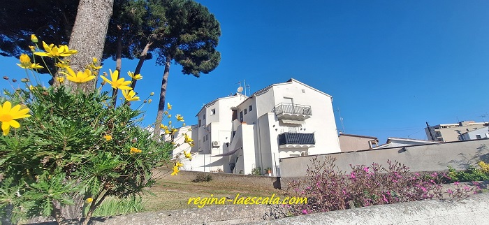 Fincas en venta